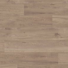 Van Gogh VGW83T Frosted Birch